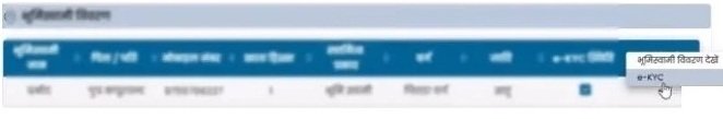 E-KYC (भू स्वामी)
